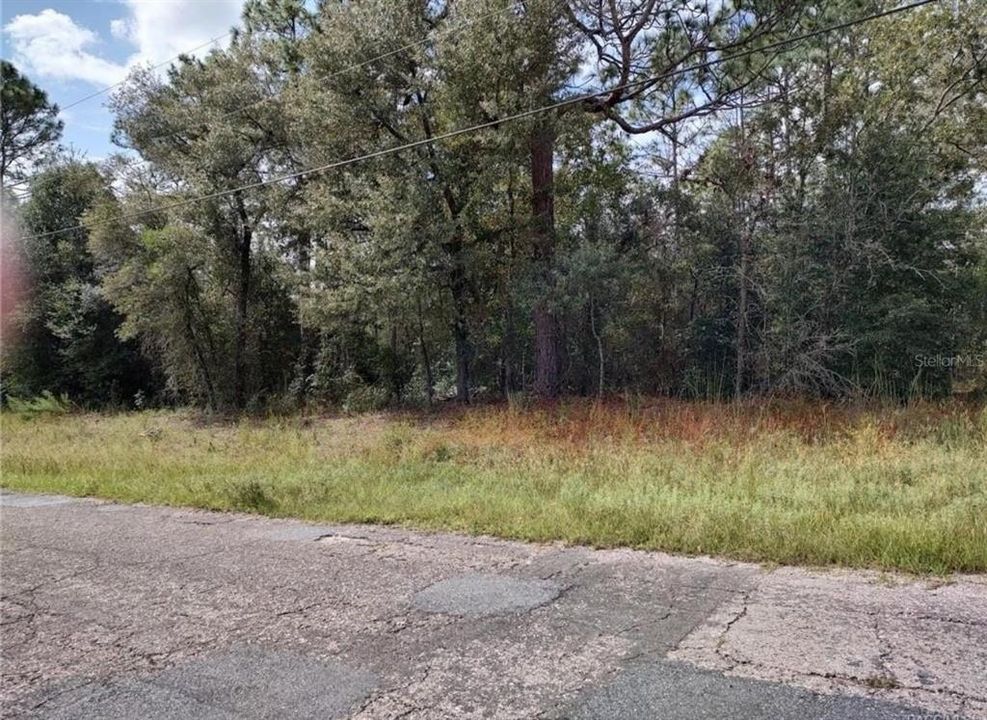 Recently Sold: $44,400 (0.24 acres)