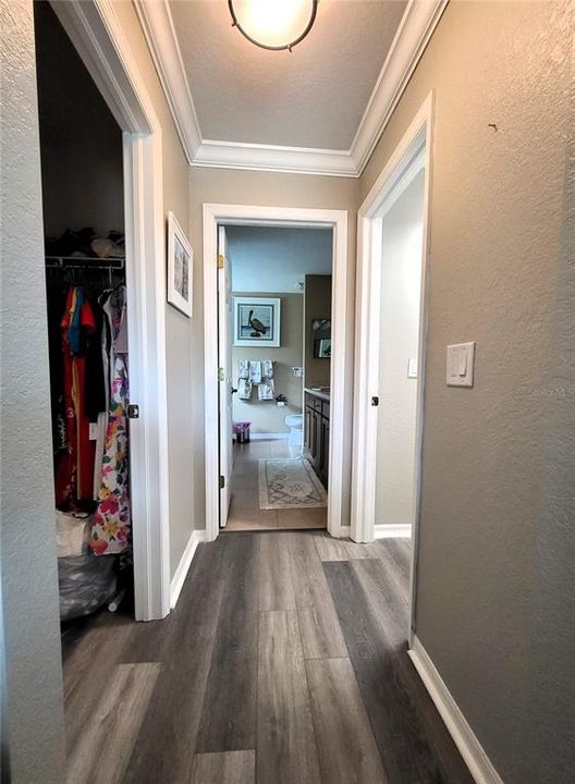 Hallway with walk-in closets on either side.