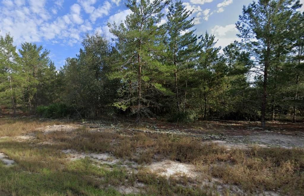 For Sale: $35,500 (0.16 acres)