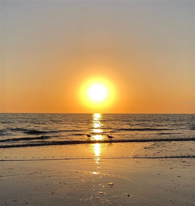 55 Beach Sunset