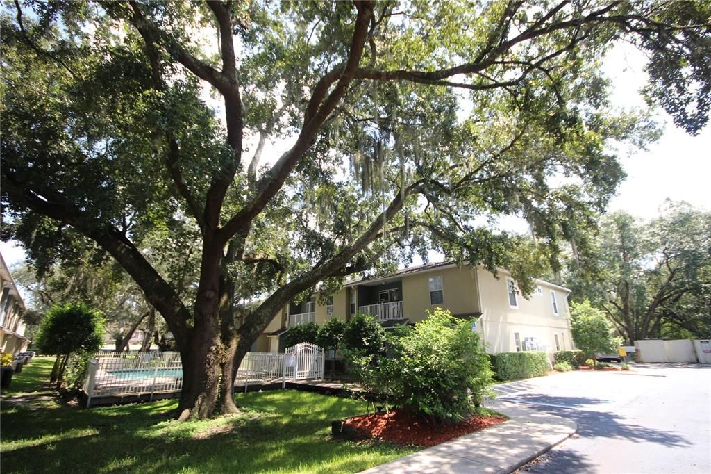 Recently Rented: $1,895 (2 beds, 2 baths, 1305 Square Feet)