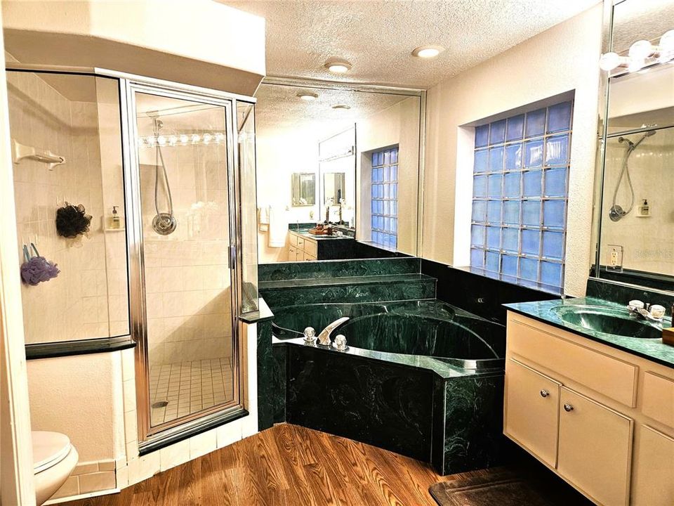 Separate  Shower and Large Garden Tub