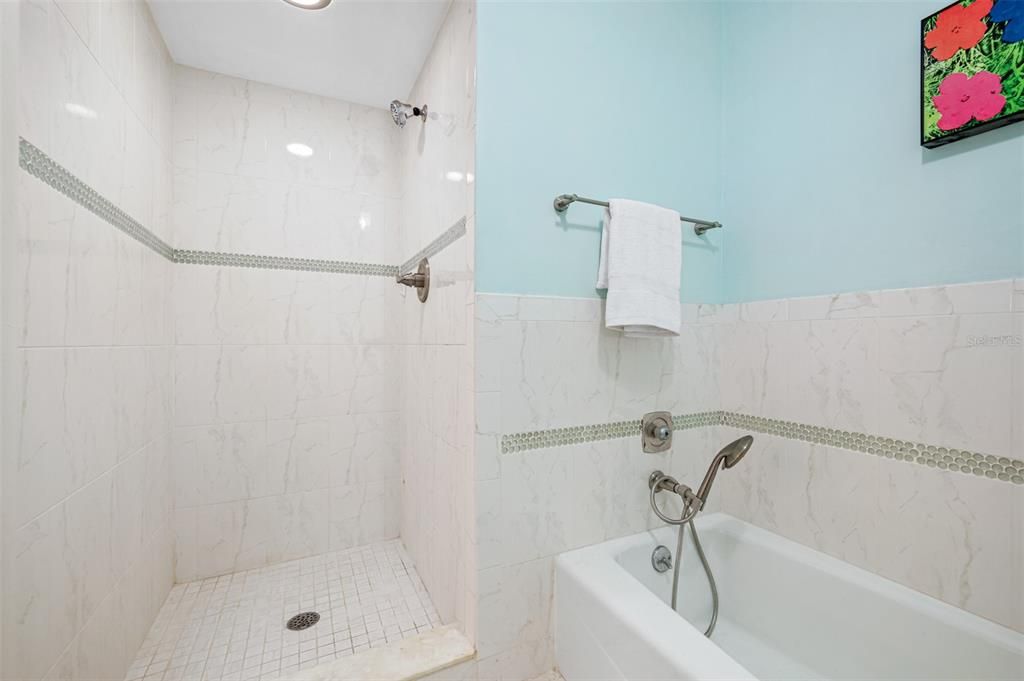 Primary Separate Shower and Tub