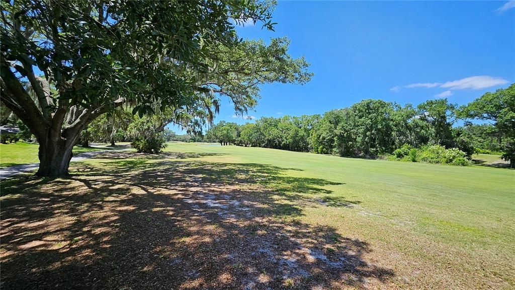 the par 5 16th Fairway of Bloomingdale GC