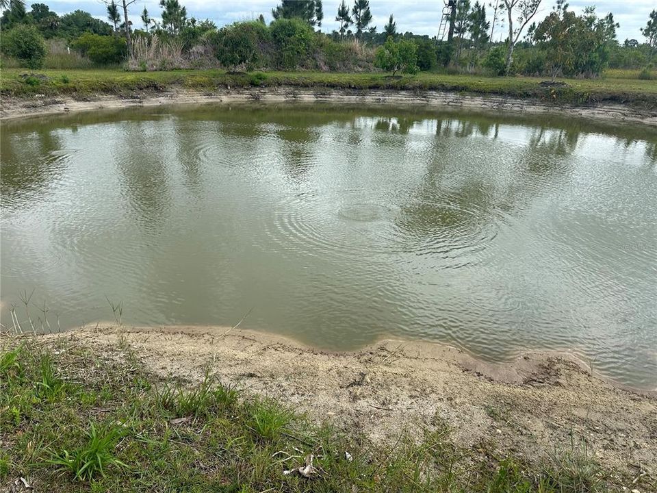 Tilapia stocked pond