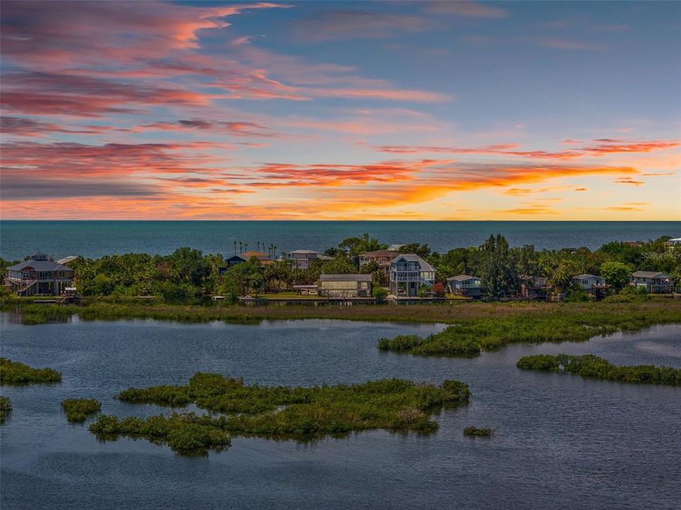 Nature Coast