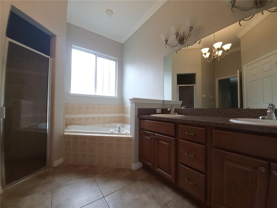 Master Bathroom with shower room