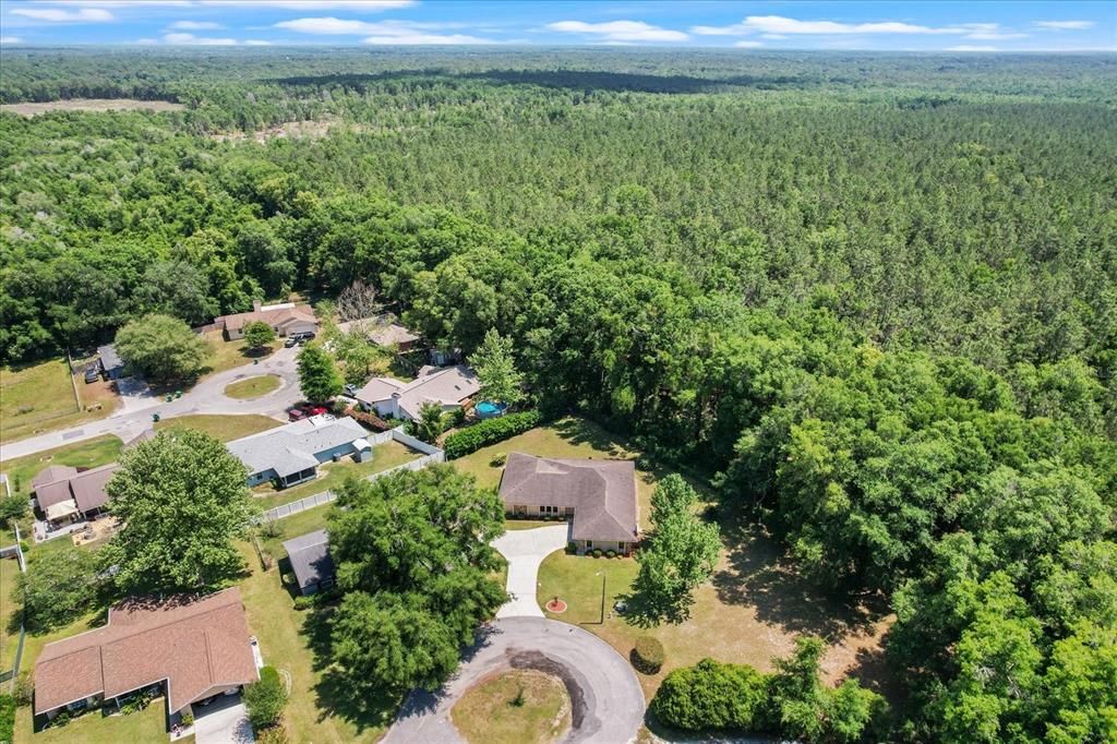 140+ Acres of Privately Owned Timberland is Right Behind the Home