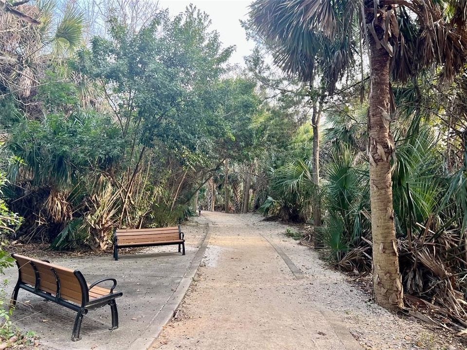 3 Mile Walking Path With Benches