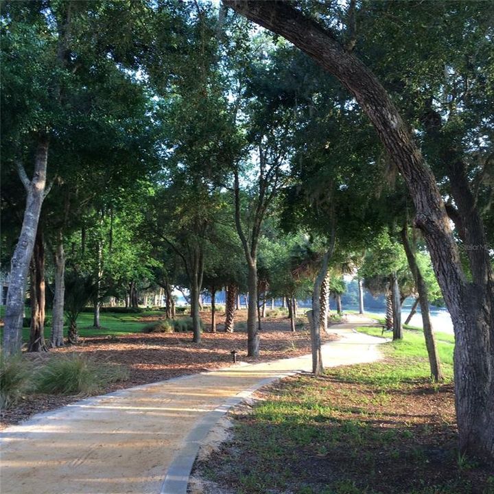 Enjoy The ICW Walking Path Shaded By The Century Old Oaks