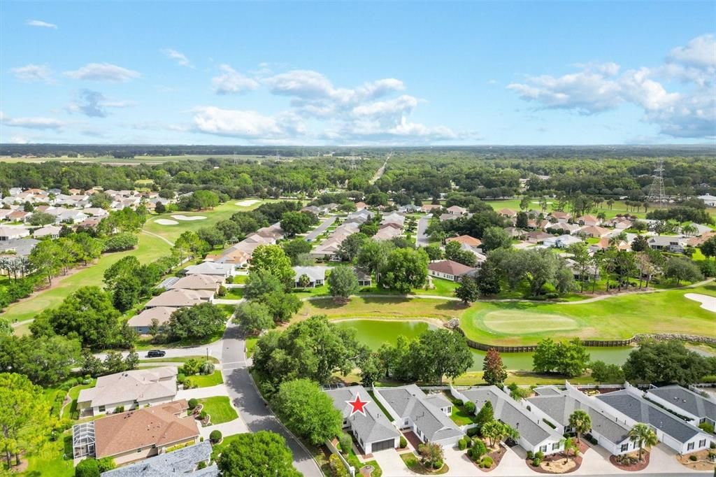 ENJOY YOUR BIRDCAGE AND VIEW UNDER THE LIVE OAK TREE