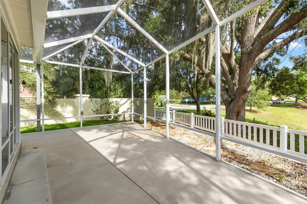 ENJOY YOUR BIRDCAGE AND VIEW UNDER THE LIVE OAK TREE