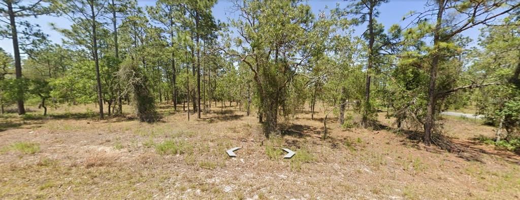 For Sale: $34,000 (1.01 acres)