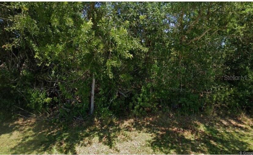 For Sale: $26,000 (0.23 acres)