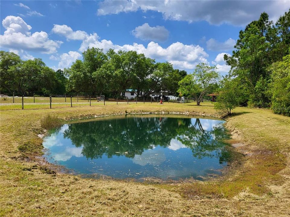 Pond view upon entrance to property