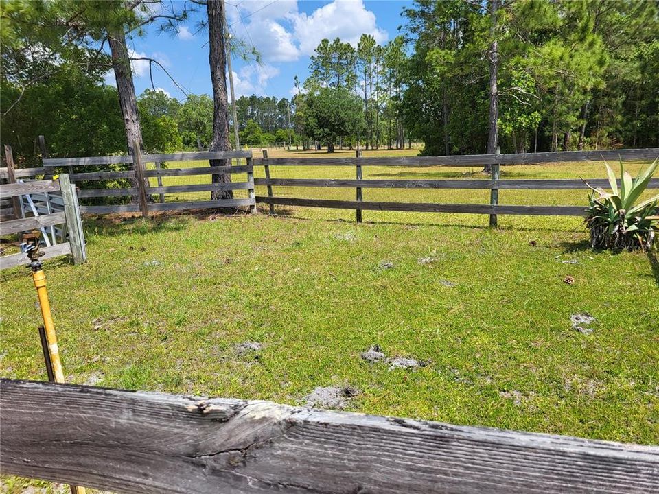 Fenced yard for horse