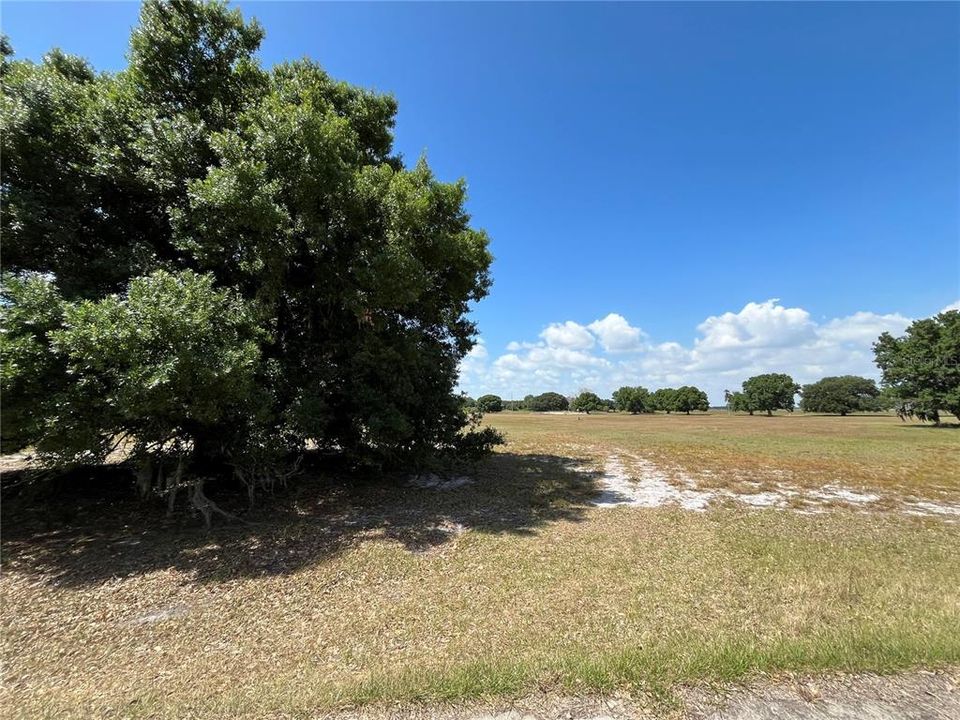 For Sale: $18,900 (0.29 acres)