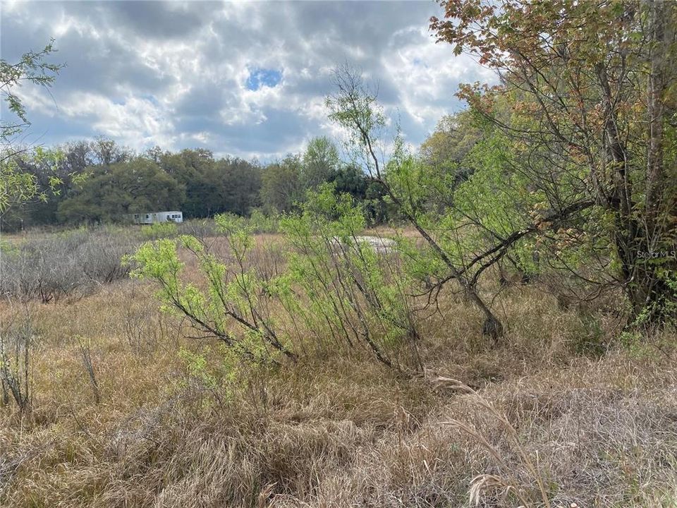 For Sale: $14,900 (0.33 acres)
