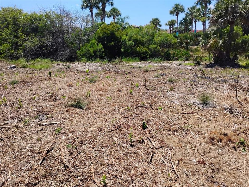 For Sale: $204,990 (0.24 acres)