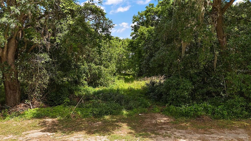 For Sale: $149,900 (1.57 acres)