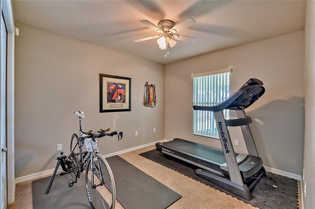 Guest Room or Workout Room
