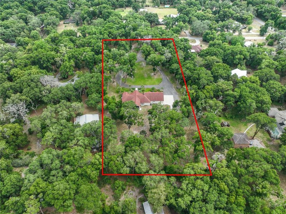 Arial View of 3 acre lot and custom home