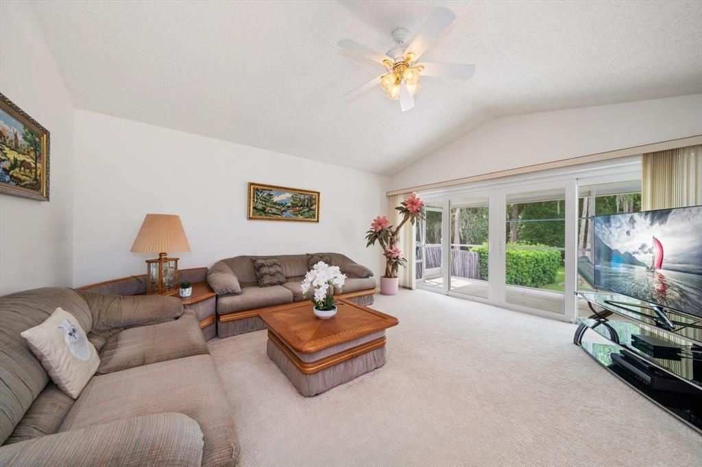 Spacious family room with vaulted ceiling~