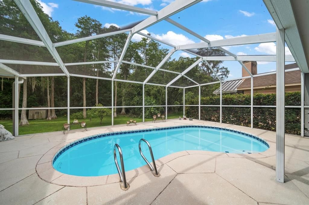 Beautiful pool with nature view & privacy landscaping~