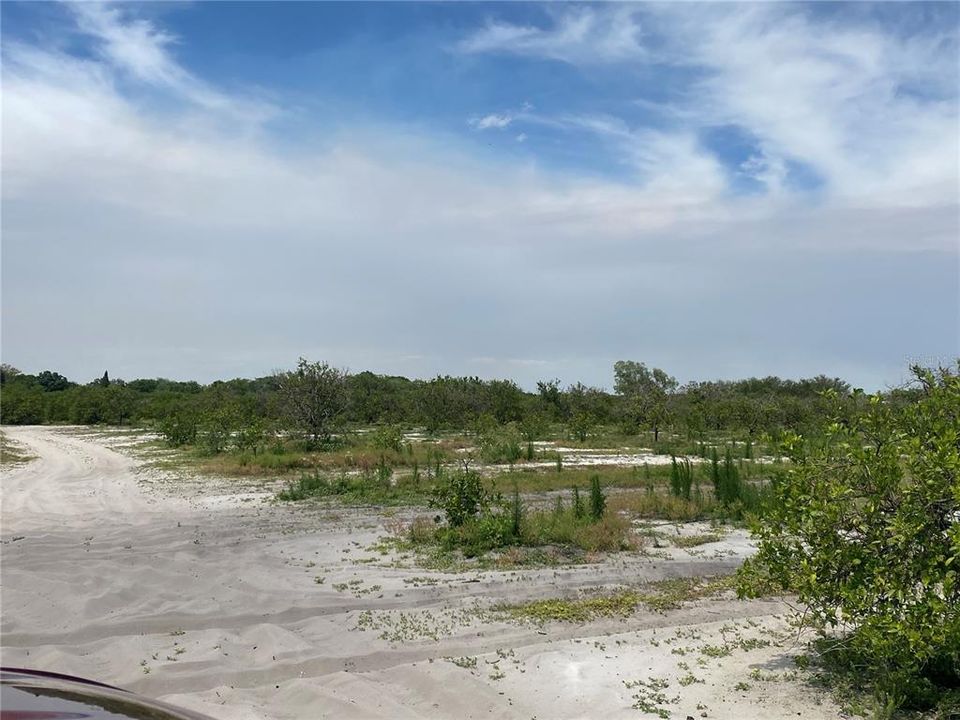For Sale: $695,000 (25.10 acres)