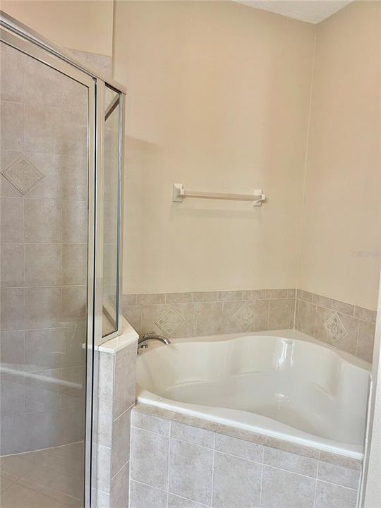 Primary Tub with separate shower