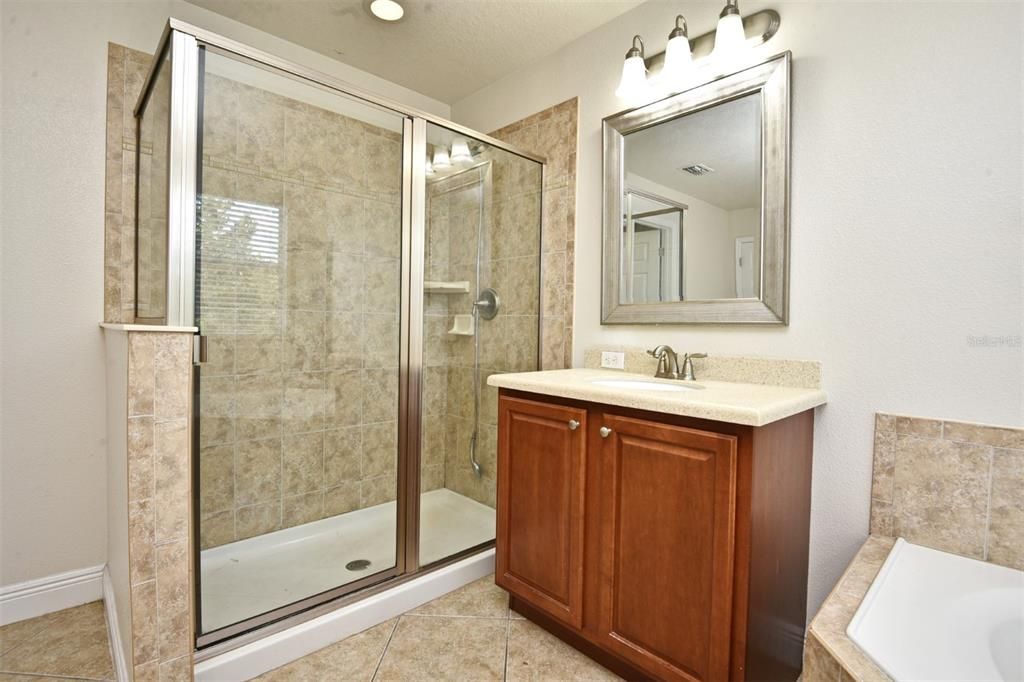 Walk-In Shower-Separate Sink Vanity