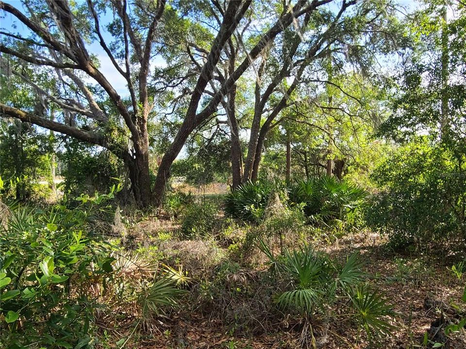 For Sale: $32,000 (1.58 acres)