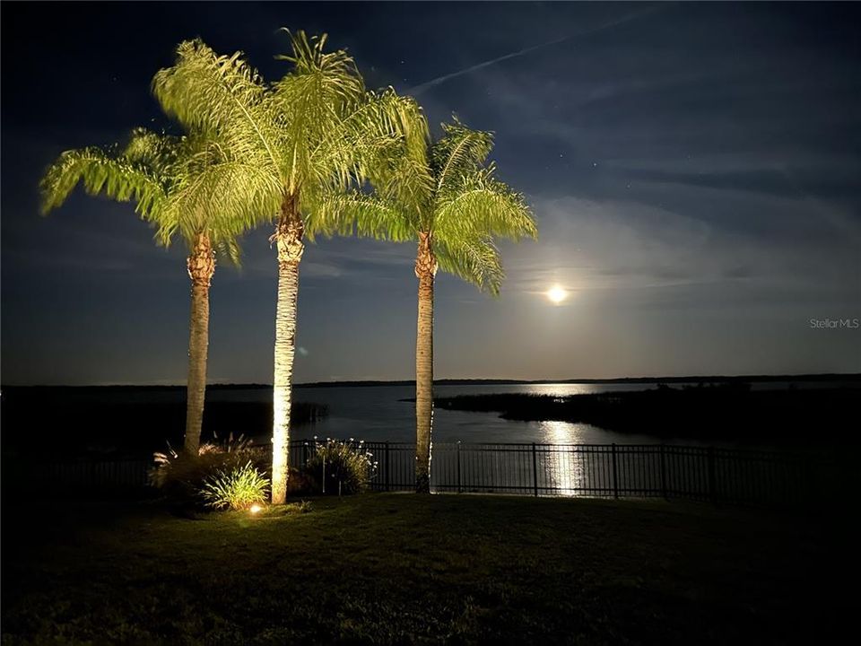 The night sky over the water.