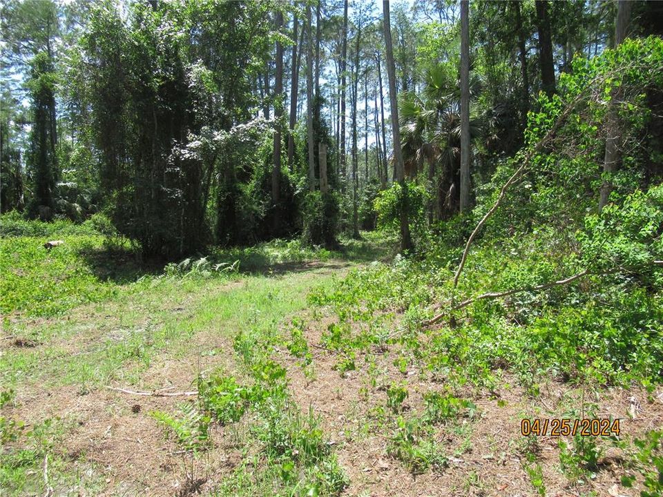 En Venta: $65,000 (1.15 acres)