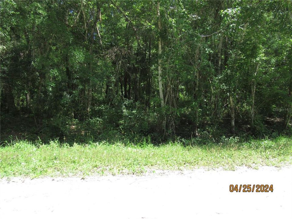 For Sale: $35,000 (1.11 acres)