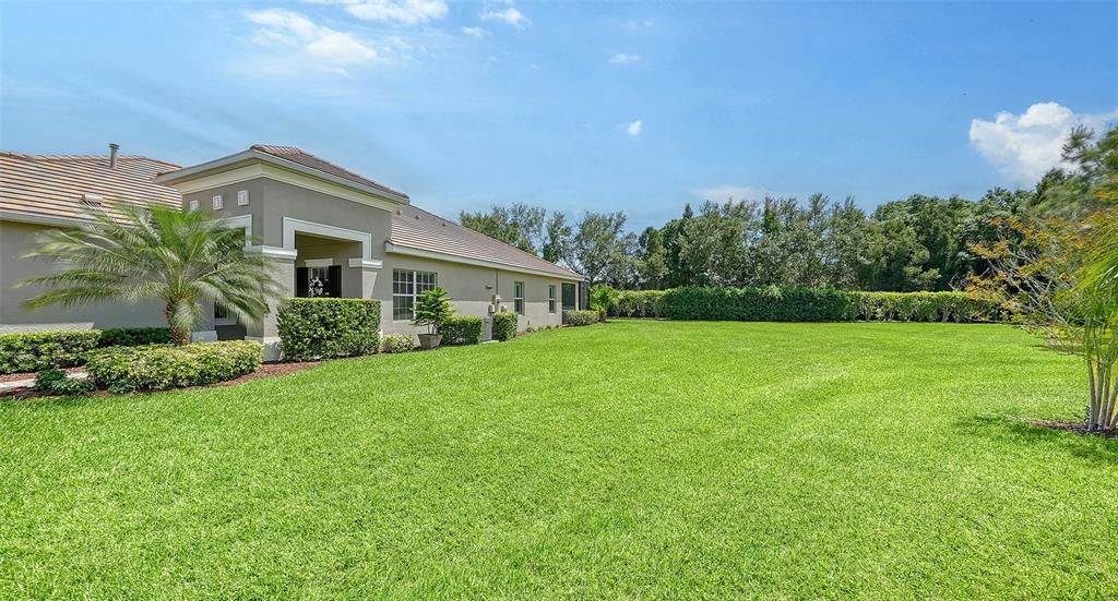 Large side yard is a great place to play frisbee with your puppy!!