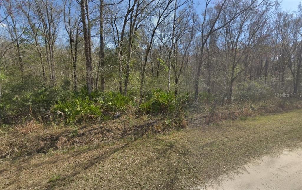 For Sale: $35,000 (1.14 acres)