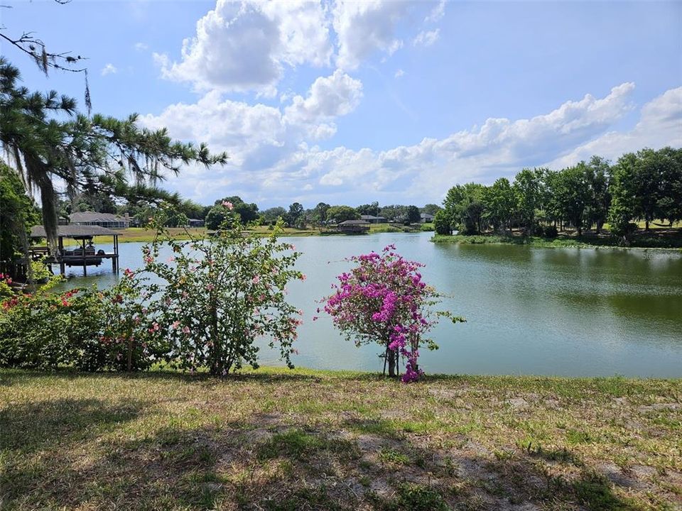 Residents' private lake