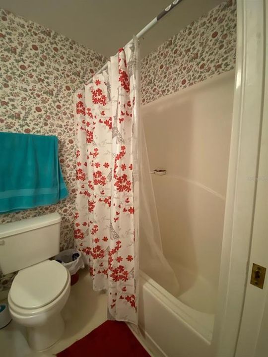Second Bathroom shower