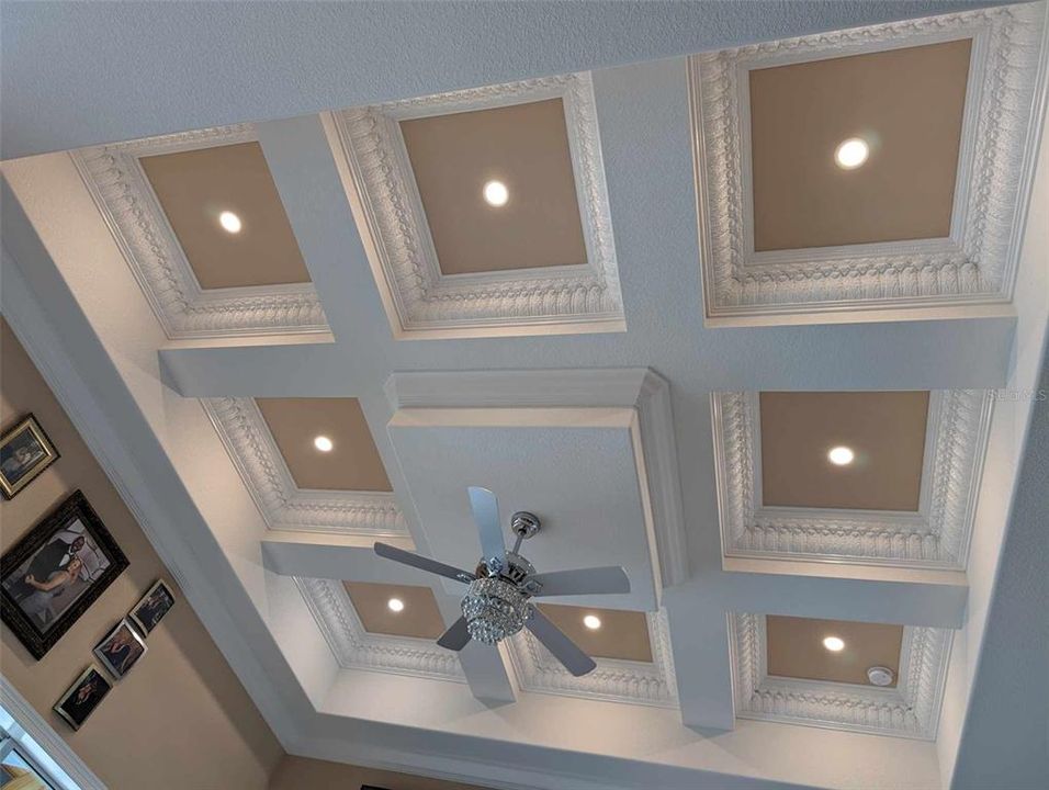 Tray ceiling in living area.