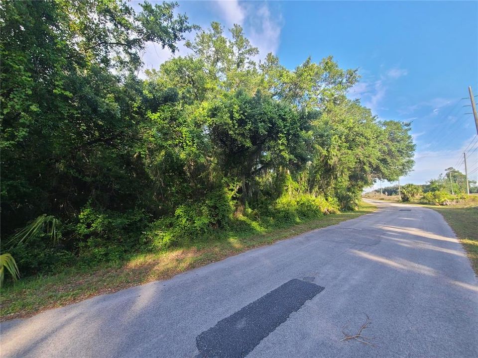 En Venta: $33,000 (0.99 acres)