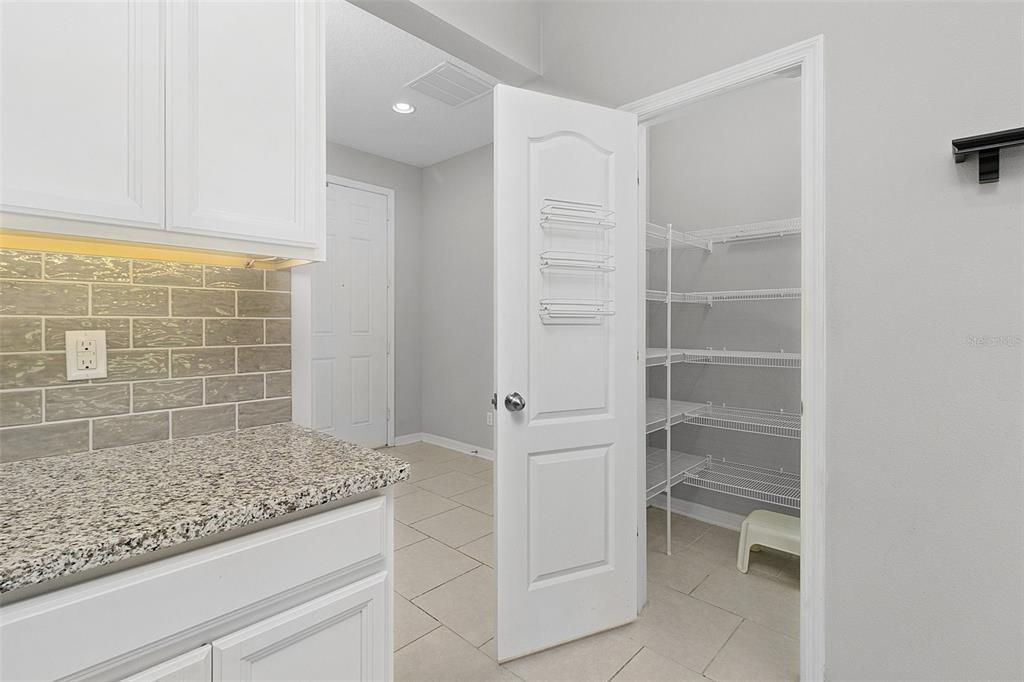 Walk-in closet pantry and additional storage under the staircase