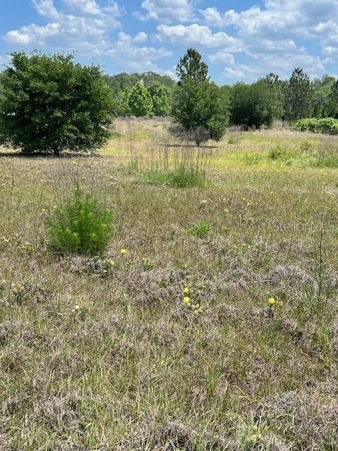 Active With Contract: $120,000 (1.40 acres)