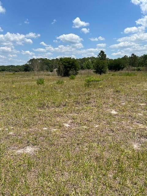 Active With Contract: $120,000 (1.40 acres)
