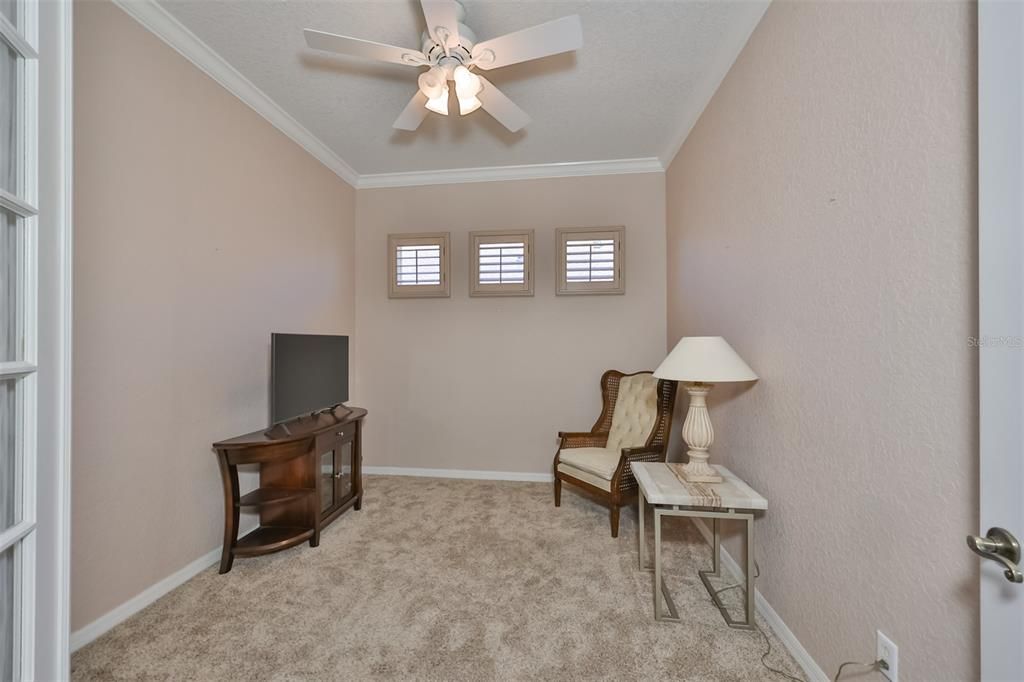 5.2 Primary Bedroom with tray ceilings