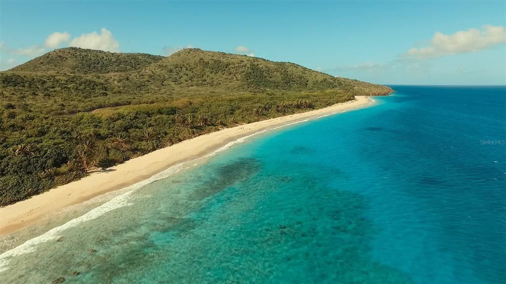 For Sale: $380,000 (1.23 acres)