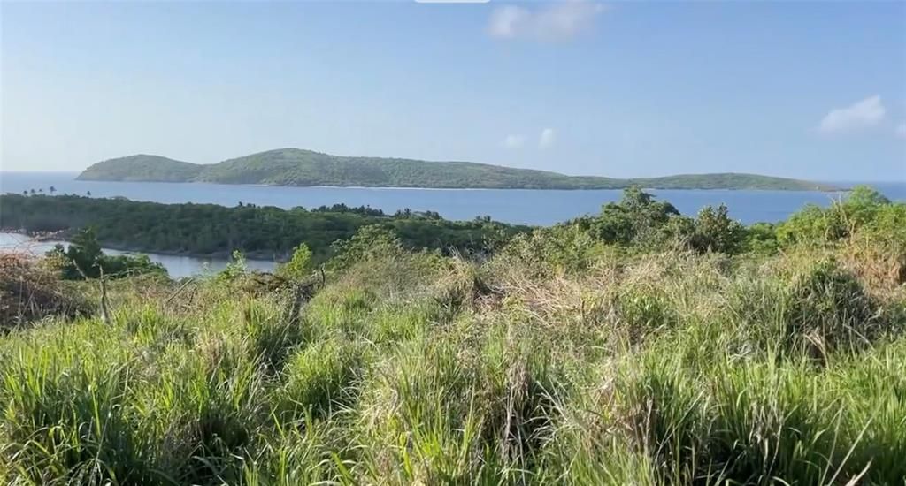 For Sale: $380,000 (1.23 acres)