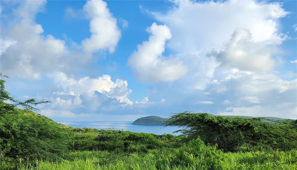 For Sale: $380,000 (1.23 acres)