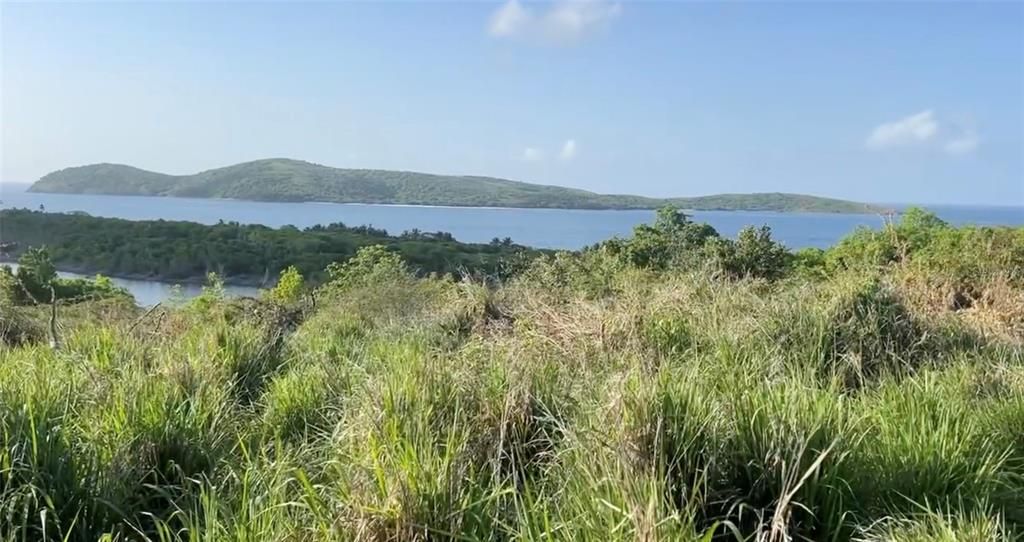 For Sale: $380,000 (1.23 acres)