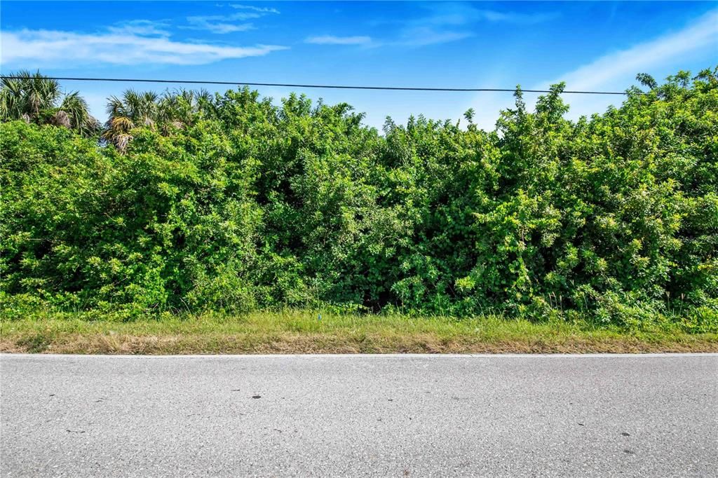 For Sale: $39,999 (0.46 acres)